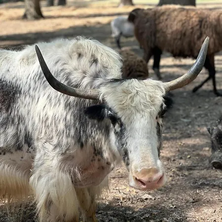 La Jasso Hotel, Maison De Famille *