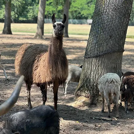 La Jasso Hotel, Maison De Famille *