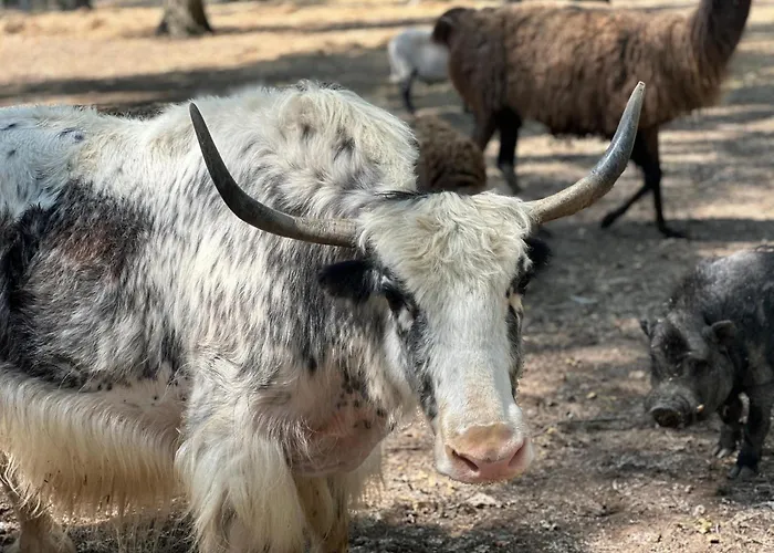 La Jasso Hotel, Maison De Famille *
