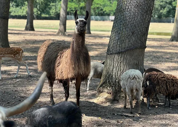 La Jasso Hotel, Maison De Famille *